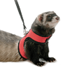 Ferret Collars and Leashes